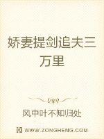 娇妻提剑追夫三万里