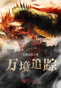 万境追踪