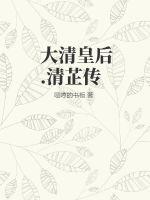 大清皇后.清芷传