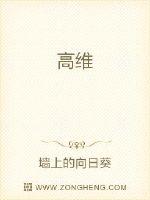 高维
