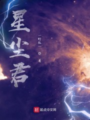 星尘君