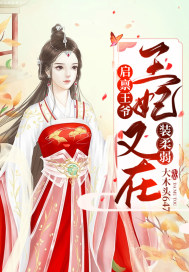 启禀王爷王妃又在扮猪吃虎