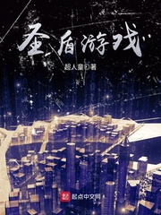 圣盾游戏