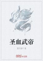 温婉宋巍的小说叫什么名字