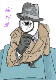 一探到底