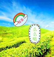 绿茶么么哒